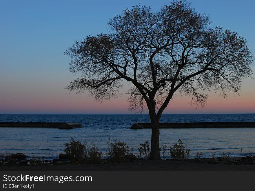 Lakeshore Toronto