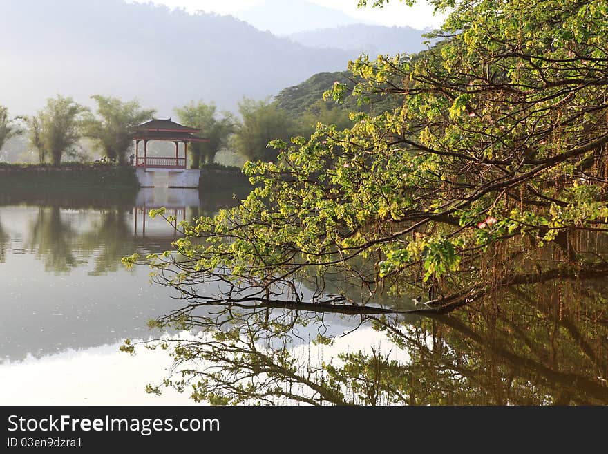 Beautiful Lake Garden at Taiping - Malaysia. Beautiful Lake Garden at Taiping - Malaysia.