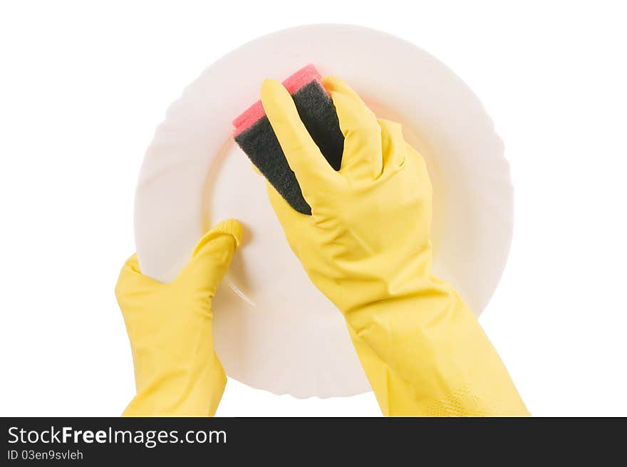 Hand in a glove washes a plate on white. Hand in a glove washes a plate on white