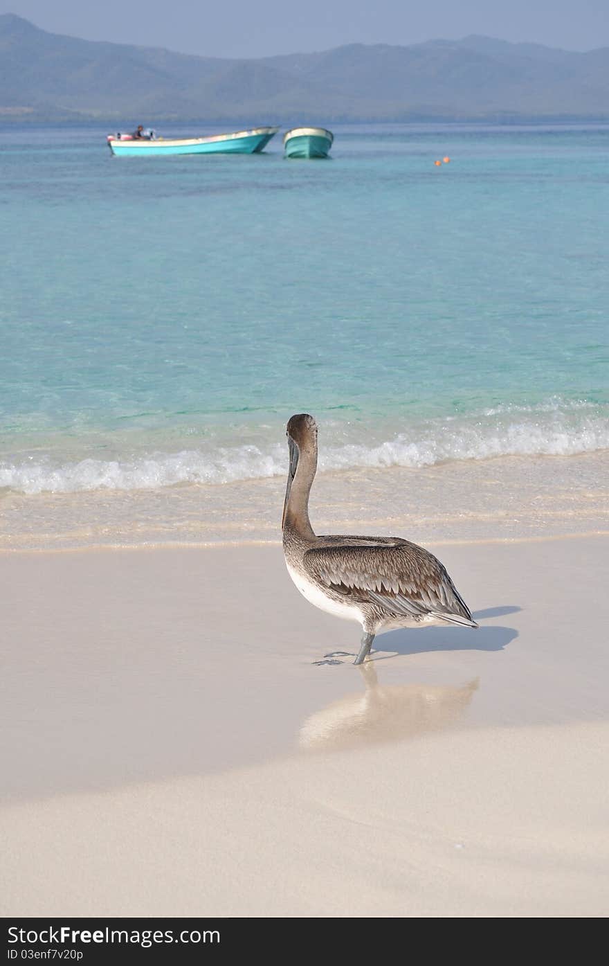 This photo was taken on a small paradise island in the carribean. This photo was taken on a small paradise island in the carribean