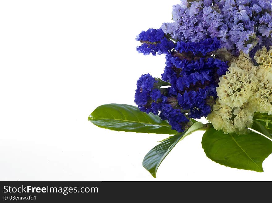 Bunch of spring flowers on white background
rainbow. Bunch of spring flowers on white background
rainbow