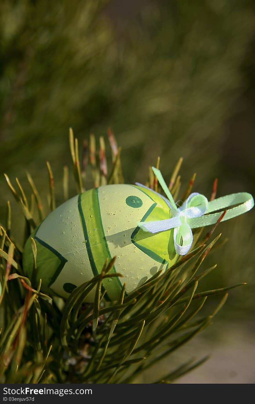 Easter eggs outdoors in sunlight. Easter eggs outdoors in sunlight