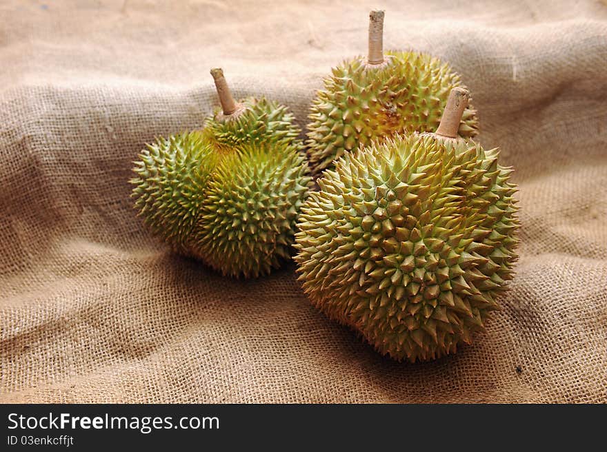 Tropical Durian fruit