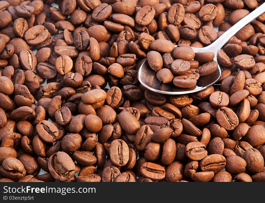 Coffee beans closeup