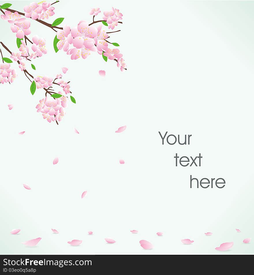 Green frame with flowering tree and petals