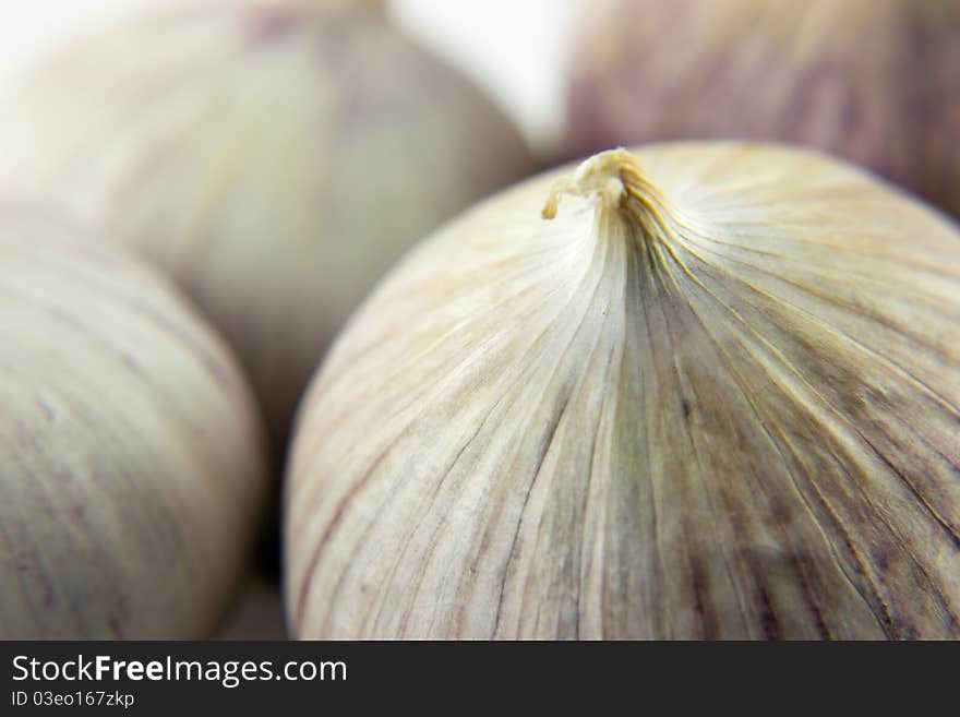 Wild onion garlic