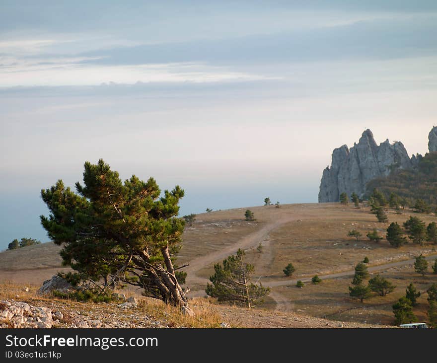 Mountain Landscape