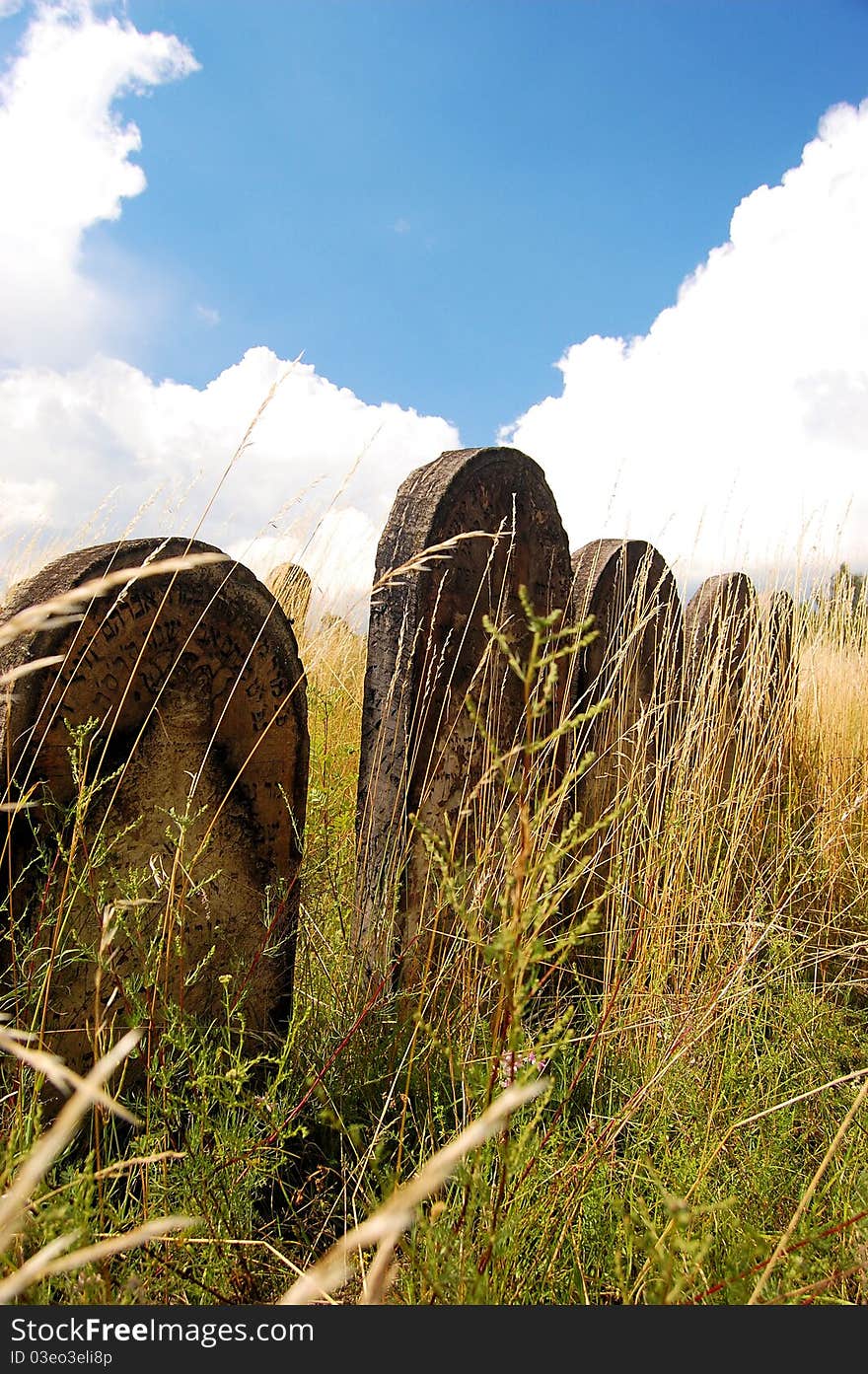 Jewish cementary in Zarki, Poland. Jewish cementary in Zarki, Poland