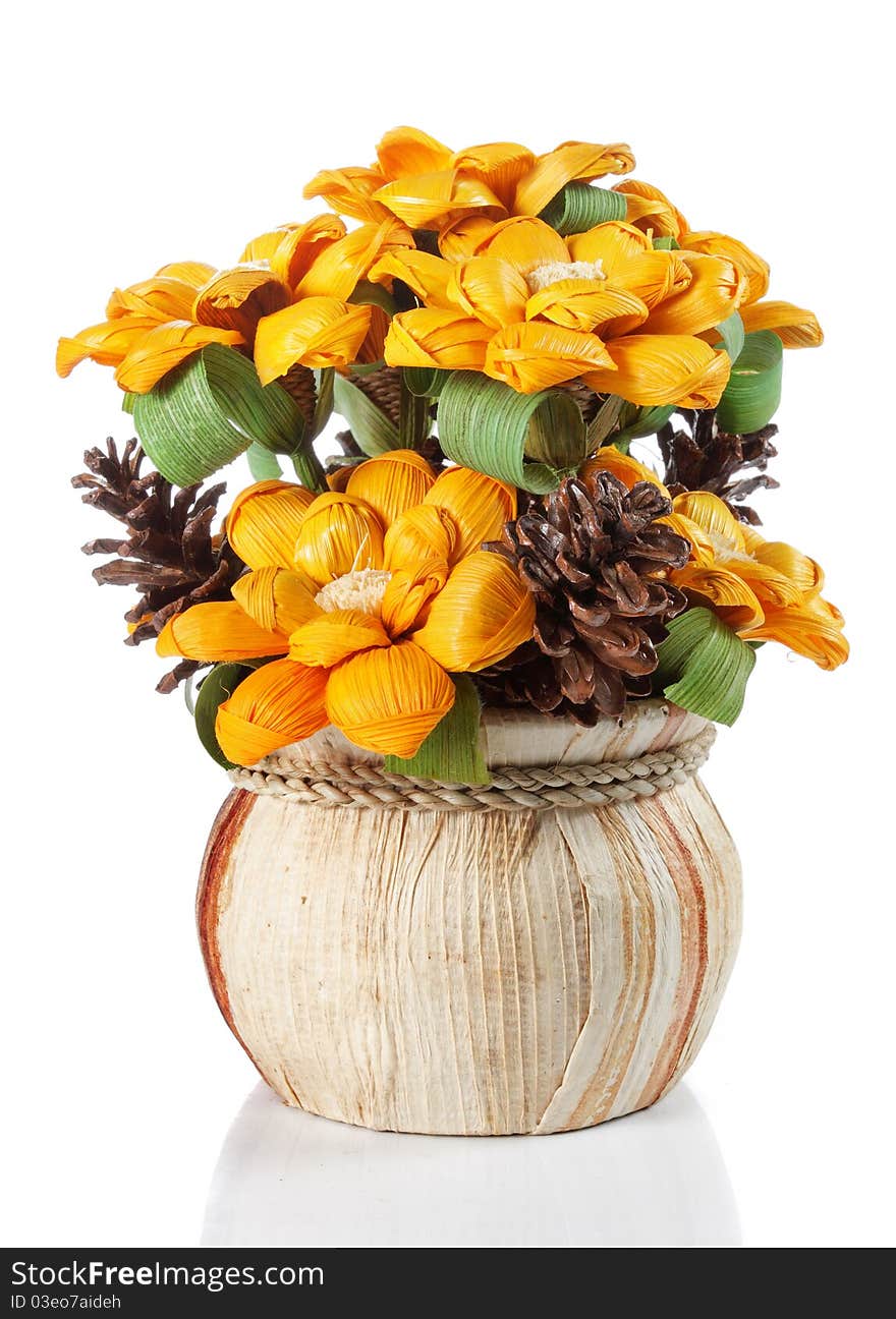 Yellow flower in small pot isolated on white background