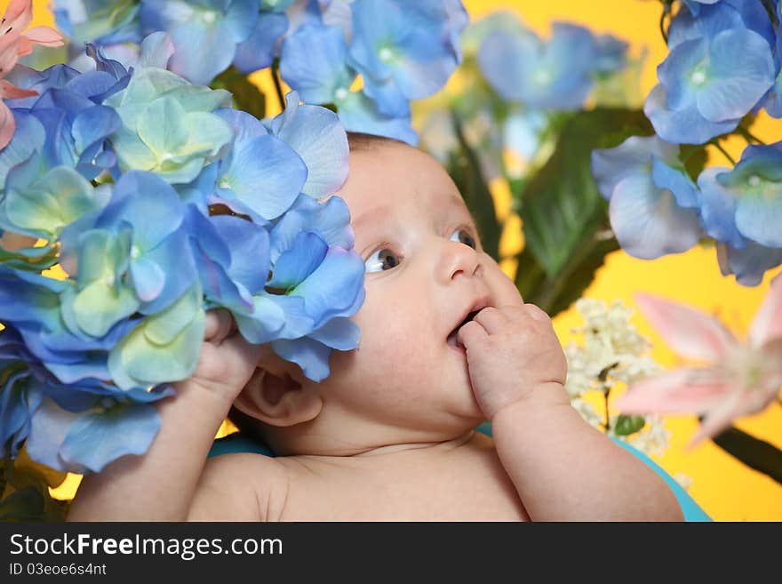 Little Girl And Flowers