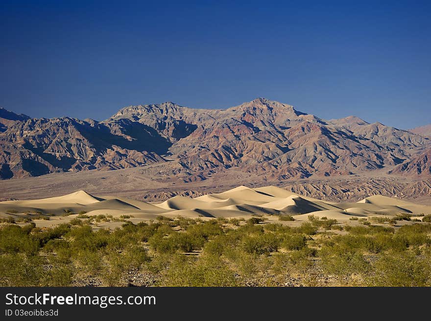 Beautiful desert scene with golden sand dunes in the distance at Death Valley National Park, California. Beautiful desert scene with golden sand dunes in the distance at Death Valley National Park, California