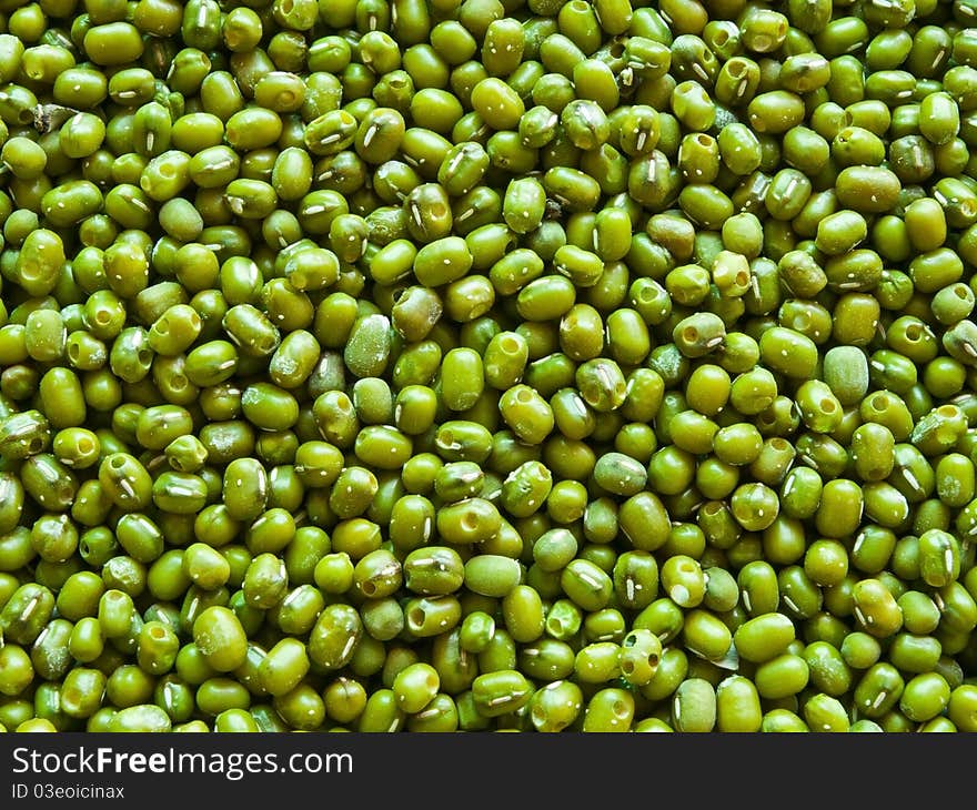 Green beans that have not been polished. Green beans that have not been polished.