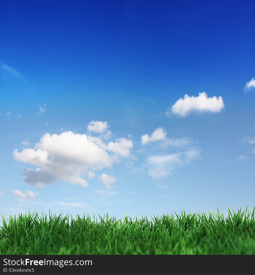 Green field and blue clouds. Green field and blue clouds