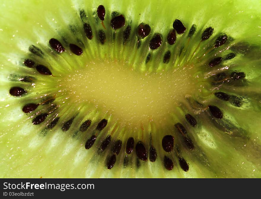 Close up of a healthy kiwi