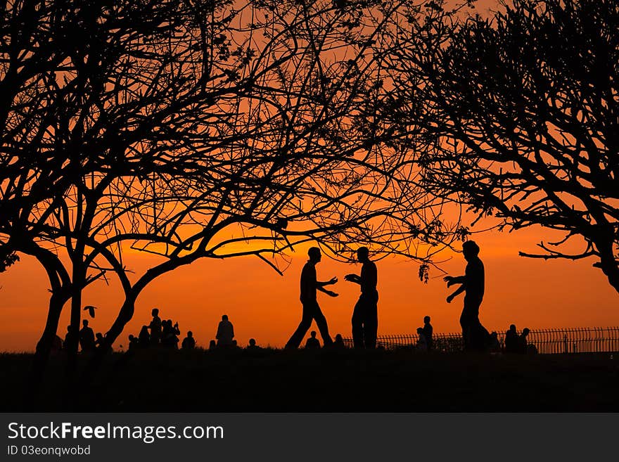 Sunset in Bangalore trees being the silhouttes against a great sun. Sunset in Bangalore trees being the silhouttes against a great sun