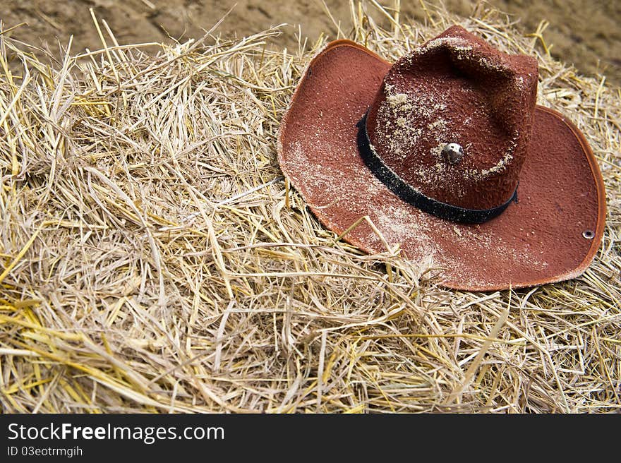 Brown cowboy hat