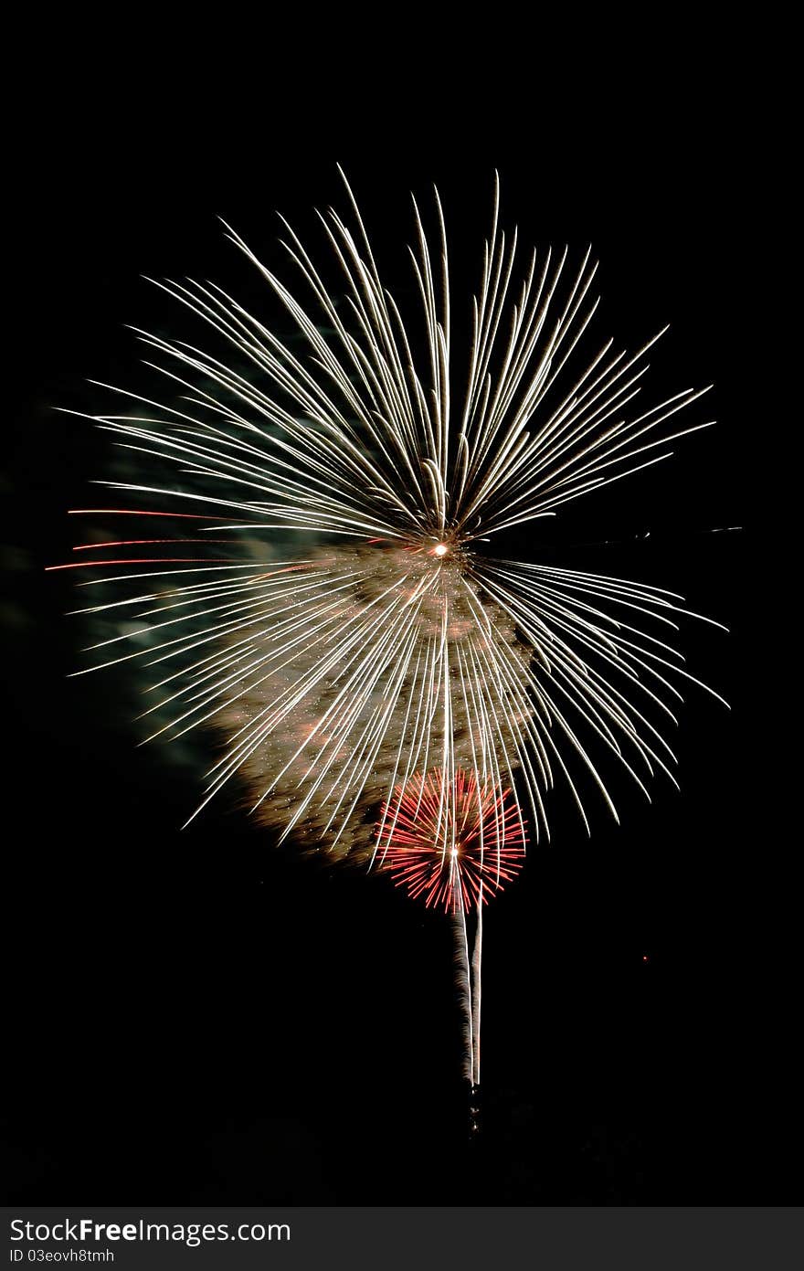 Firework in woodland, houston that looks like flower in the sky