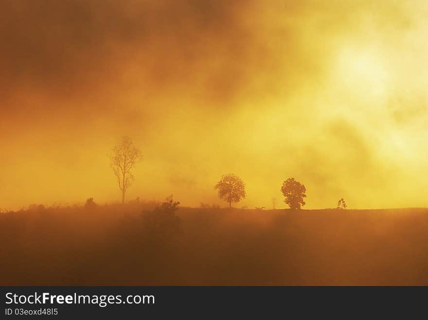 Sun and clouds