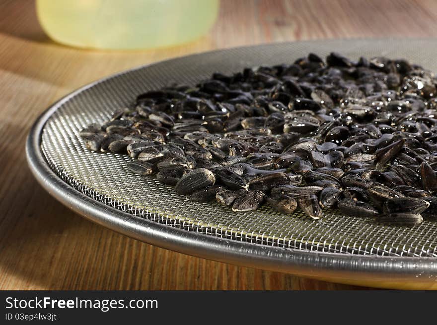 Many sunflower core in sprouting tray