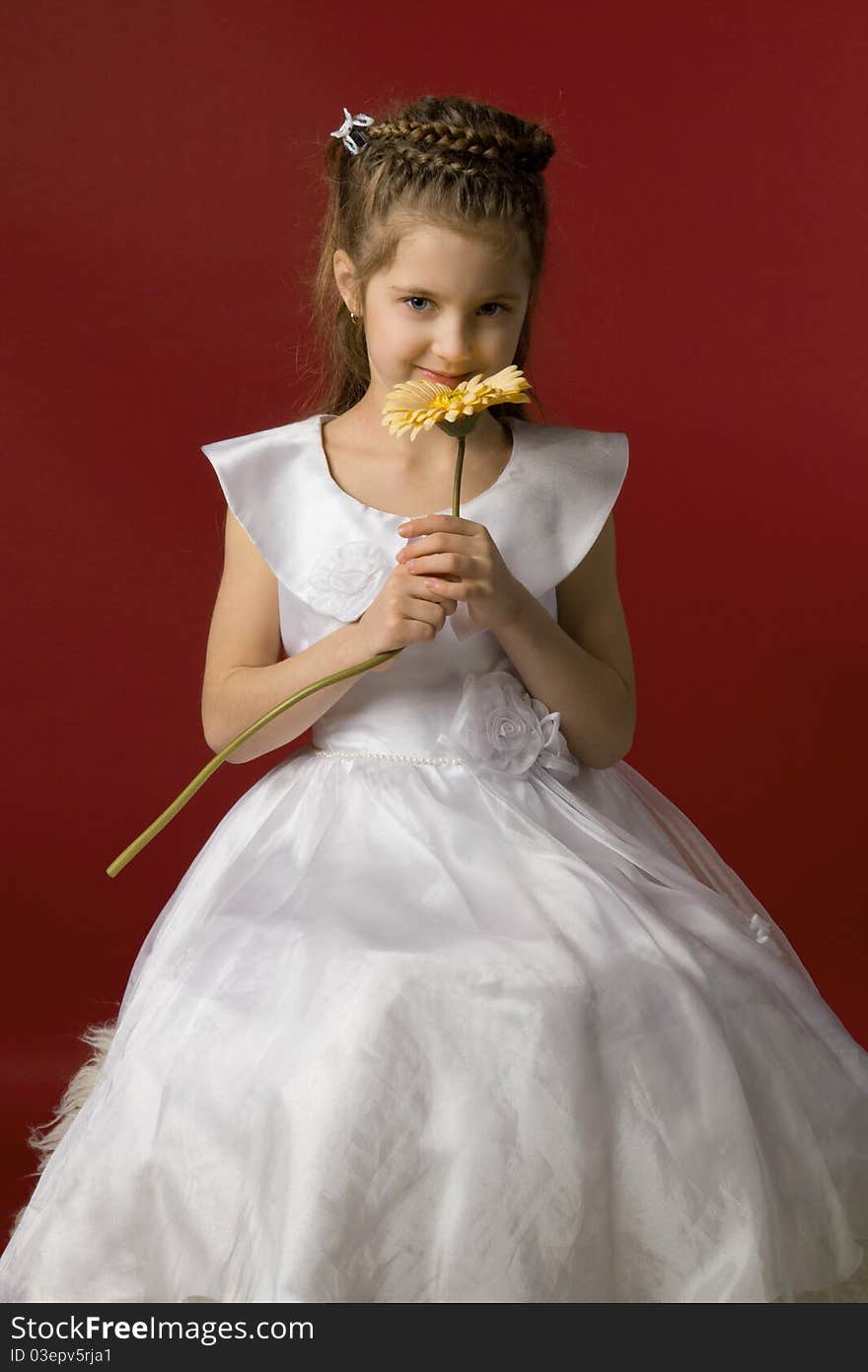 Photo of a little smiling girl in a white dress, smelling big yellow flower. Photo of a little smiling girl in a white dress, smelling big yellow flower