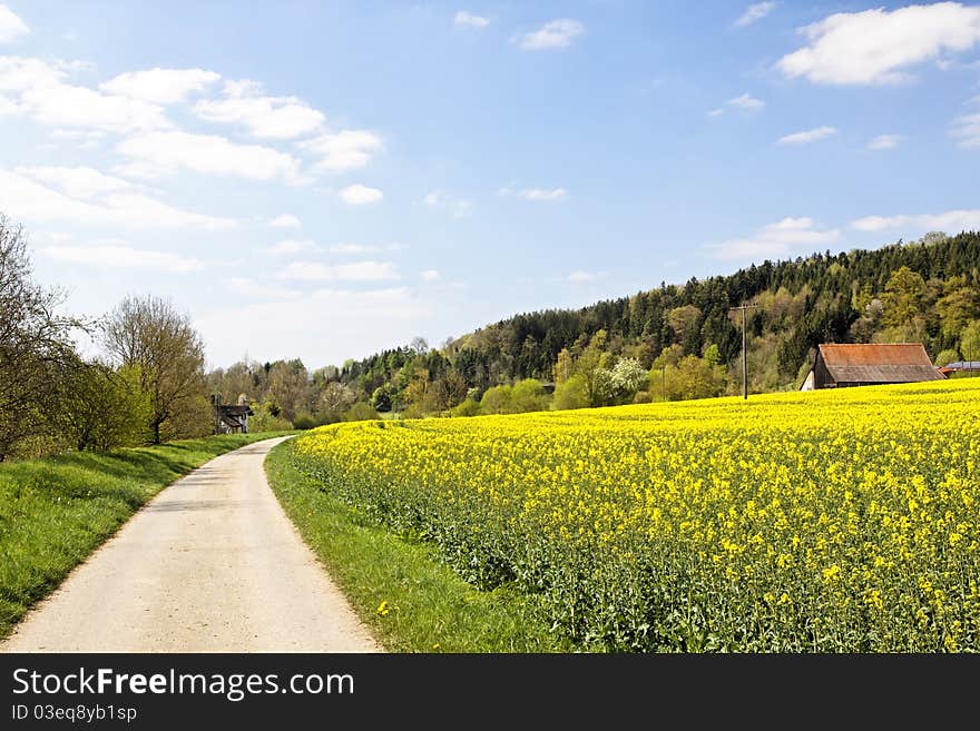 field and a long way in the country, Württemberg Germany. field and a long way in the country, Württemberg Germany