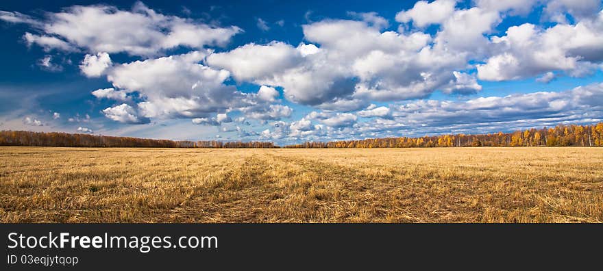 Yellow splayed field of mowing.