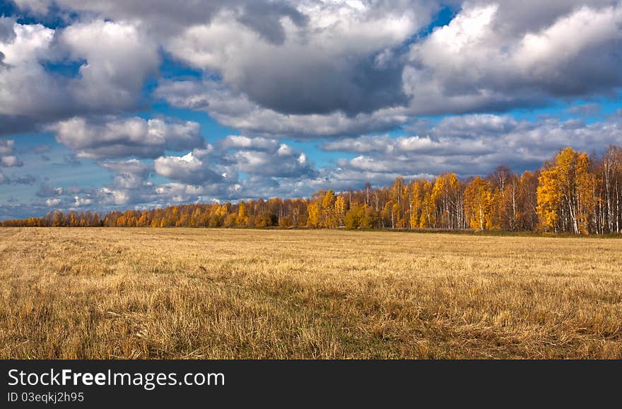 Yellow splayed field of mowing.