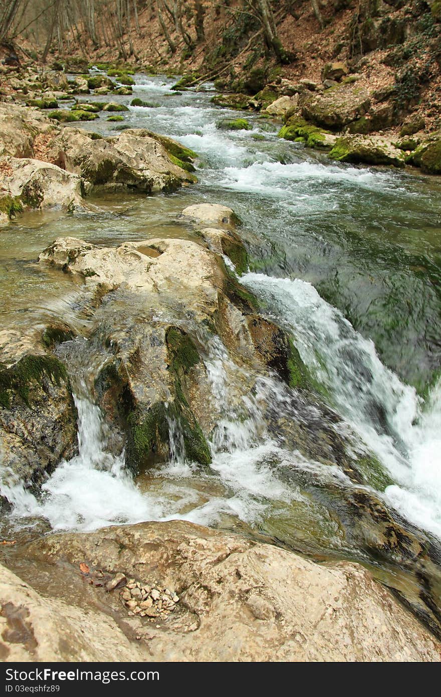 Mountain river in forest