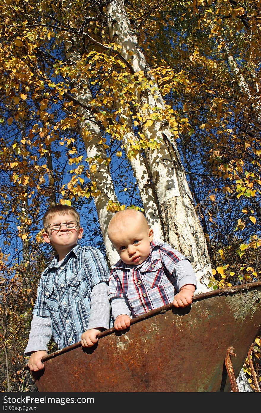 Boys In Wheelbarrow