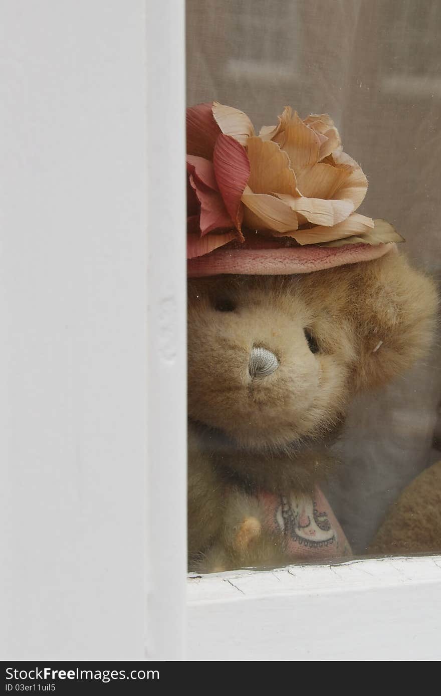 Cute teddy bear looking outside from a window