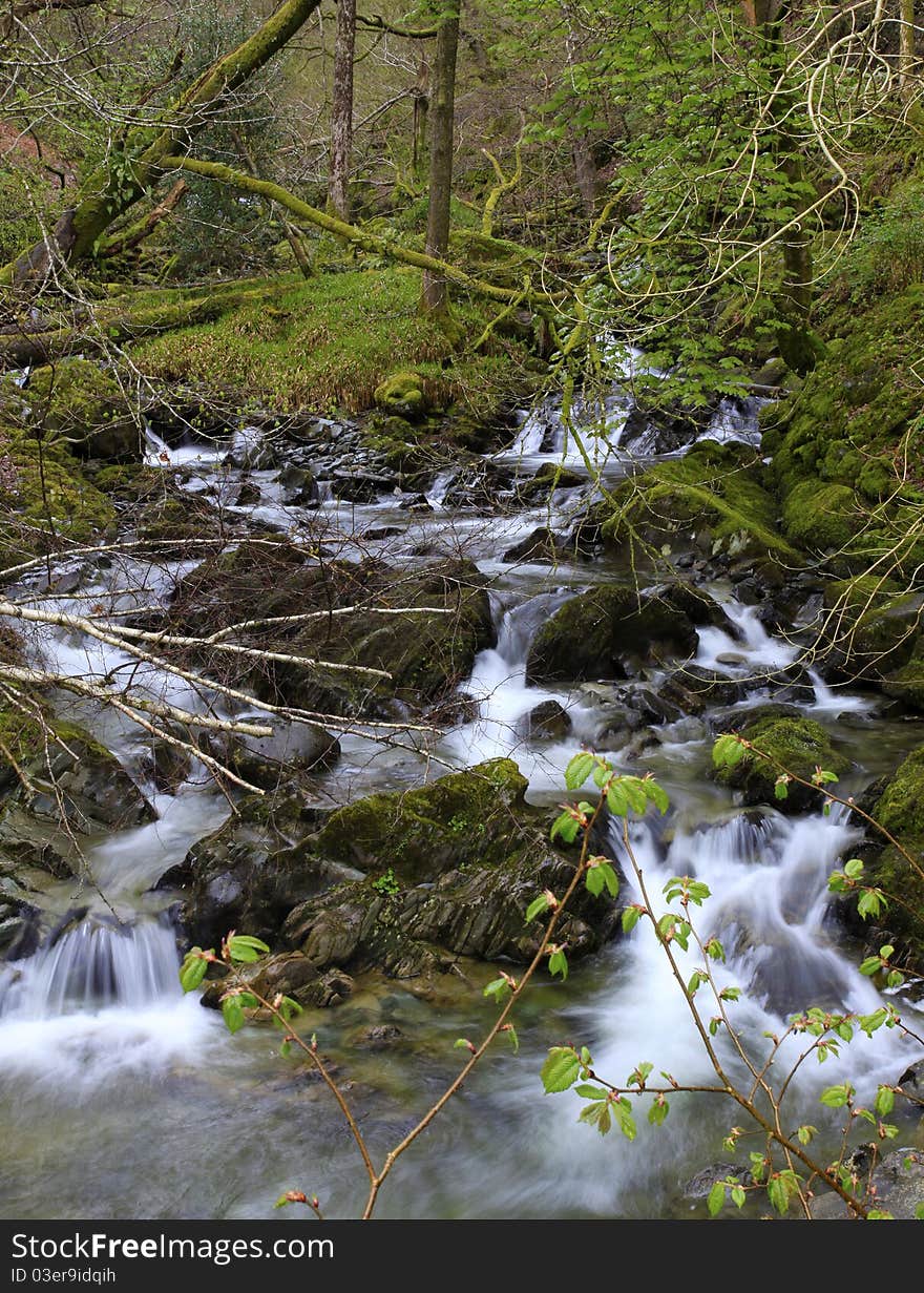 A stream and the surroundings of Ambleside, the lake district