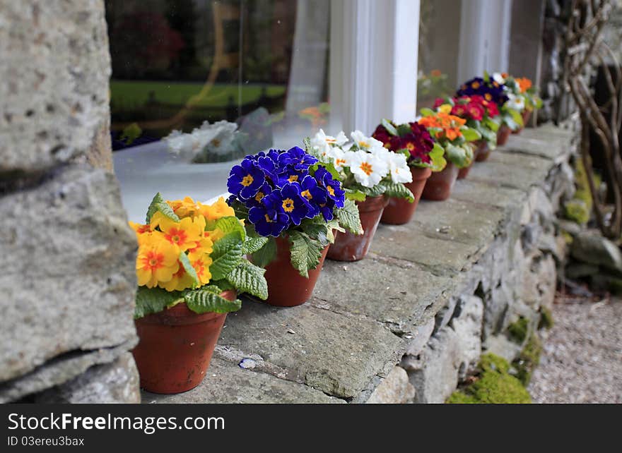 A shot of a row of flower pots on a windowsill