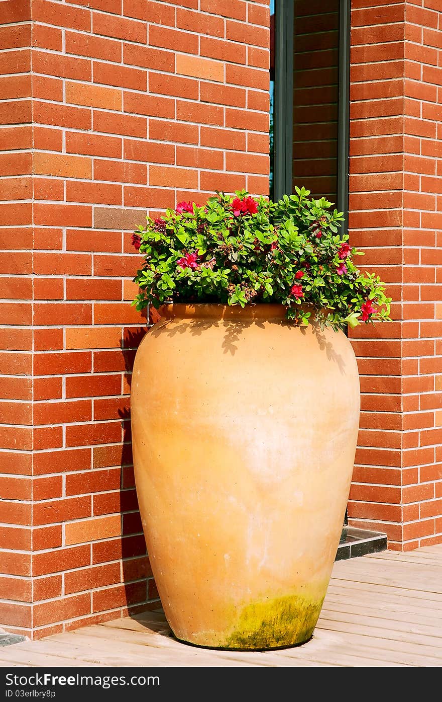 A  big  Ceramics flowerpots  on the  wall