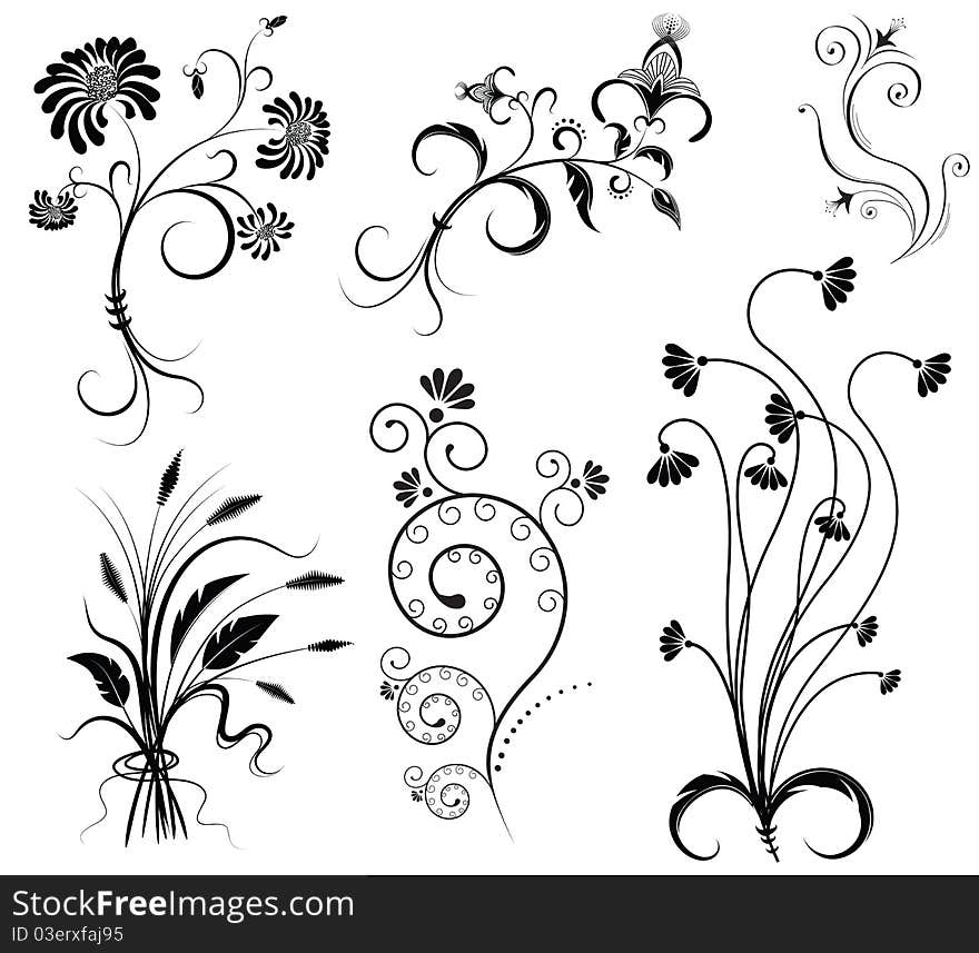 Vector floral decoration on white.