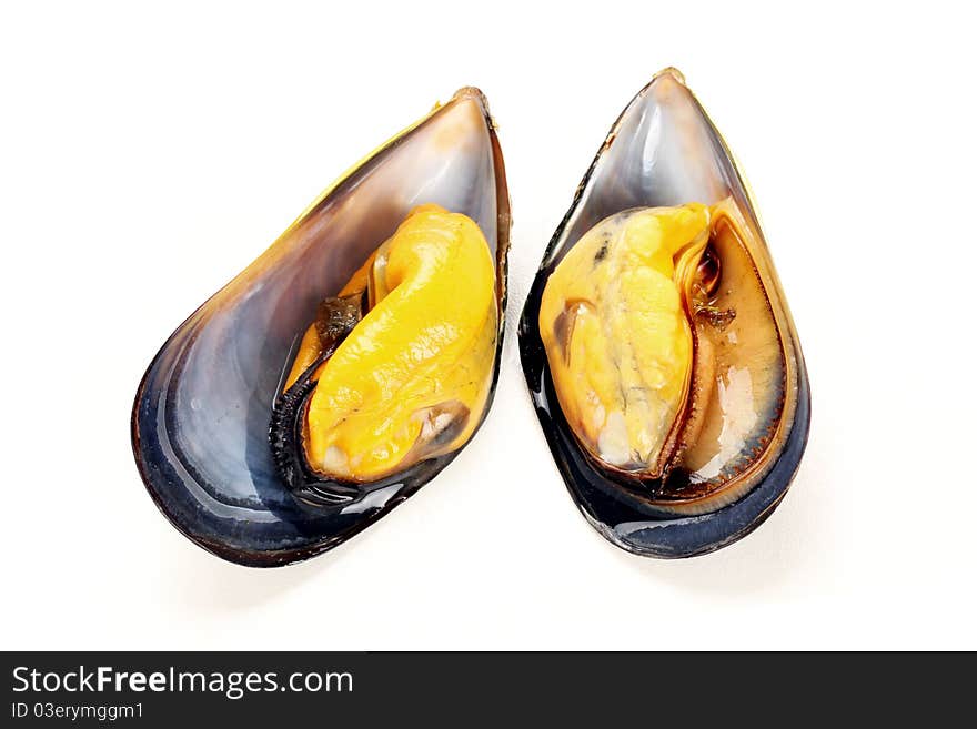 Fresh mussel isolated on white background.