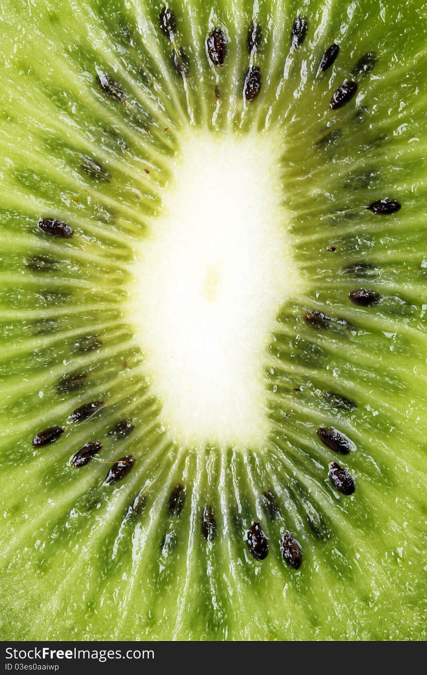 Fresh juicy kiwi  background closeup
