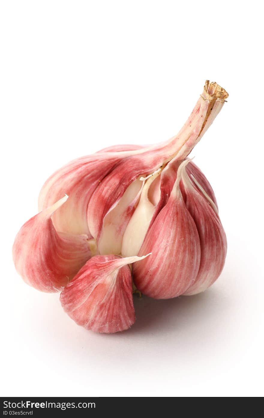 Garlic isolated on white with soft shadow. Cliping path with no shadow saved