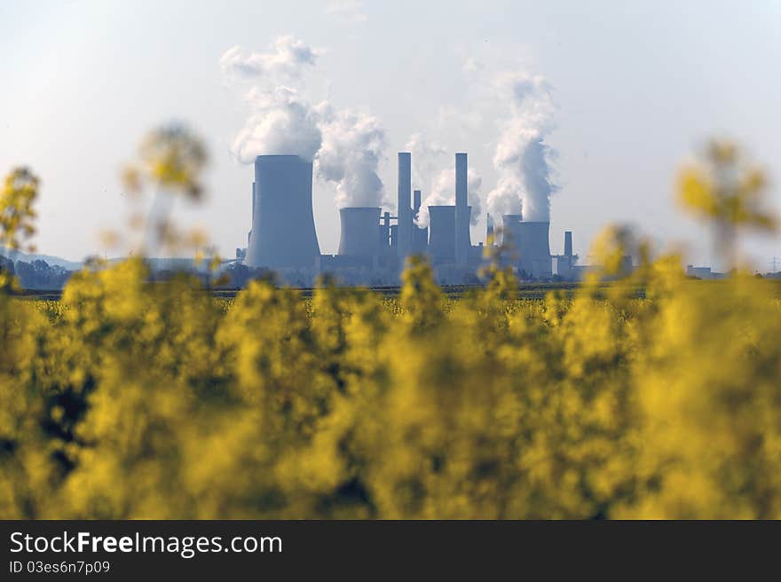 Coal power plant and rapeseed field