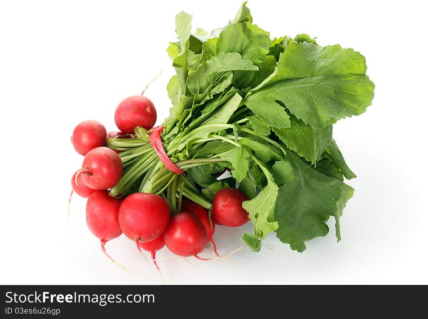 Fresh radishes isolated on white background