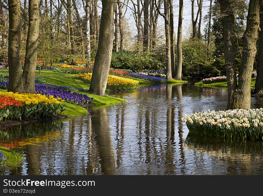 Flowers in a Dutch park