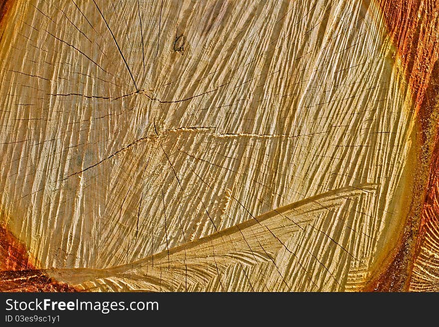 Wood background