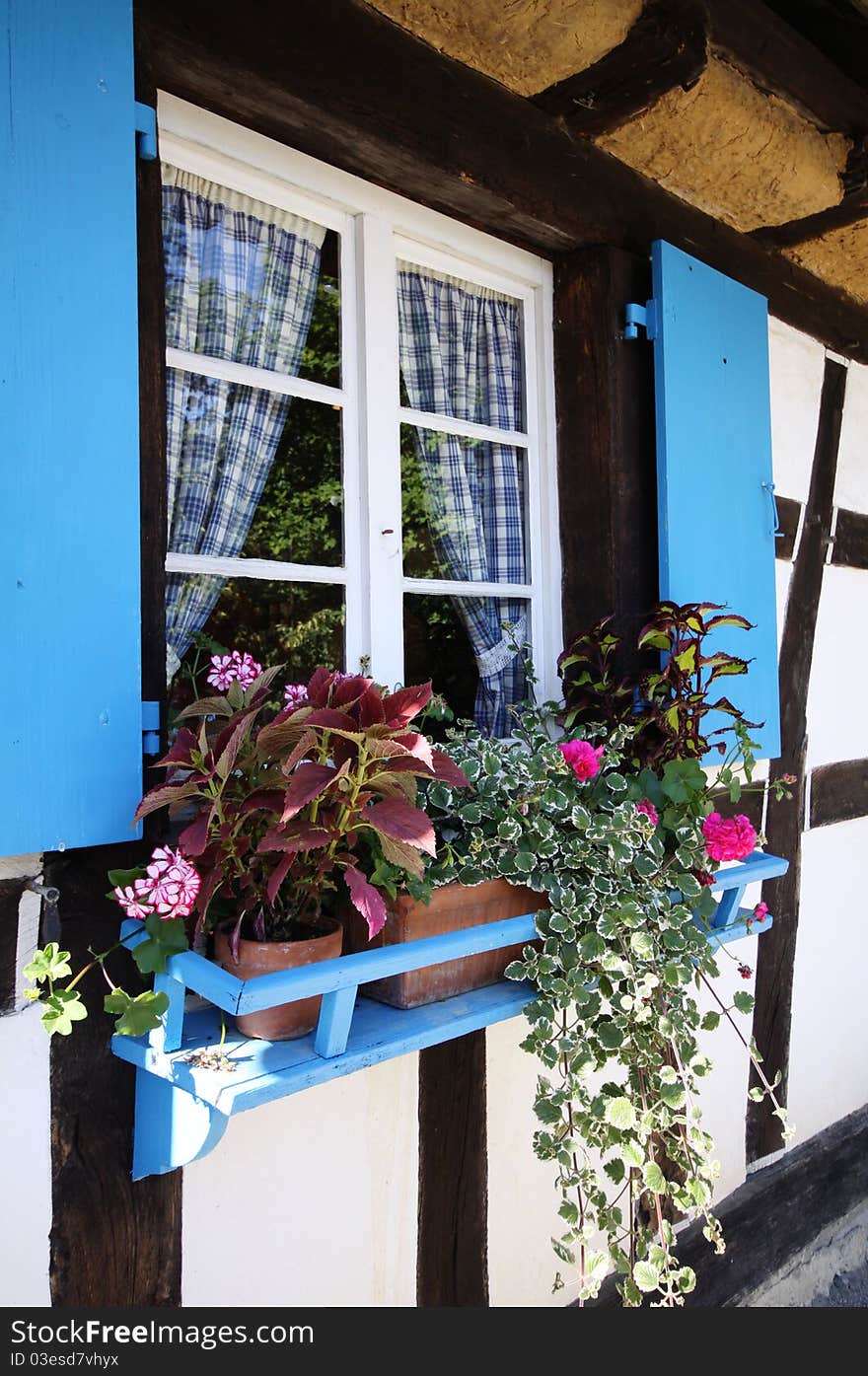 Blue window in old country cottage in Alsace, France, Europe