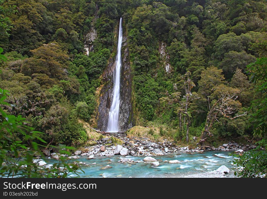 Thunder creek fall in tropical forest of New Zealand