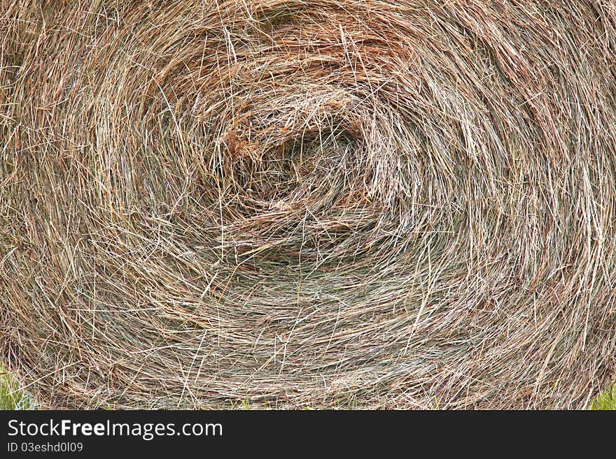 Dry round bale grass