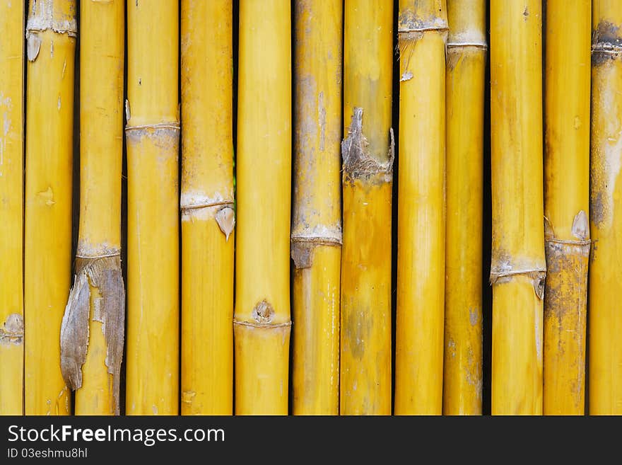 Bamboo wall house