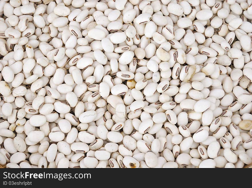 White beans isolated for background