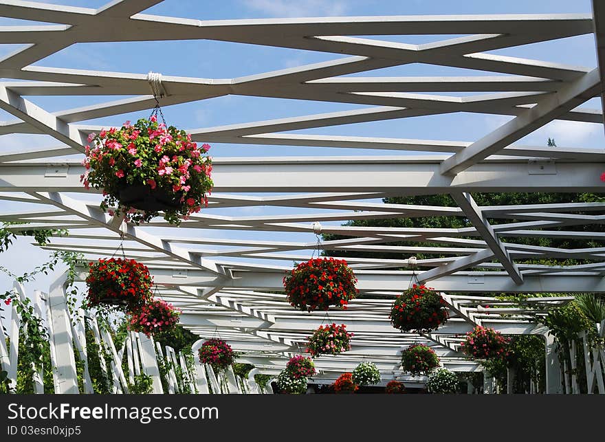 Frame roof of wood pavilion is photographed from below. It is decorated with hanging flowerpots of flowering petunia. Frame roof of wood pavilion is photographed from below. It is decorated with hanging flowerpots of flowering petunia.