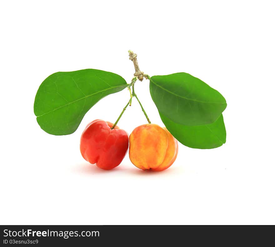 Macro of cherry on white background. Macro of cherry on white background