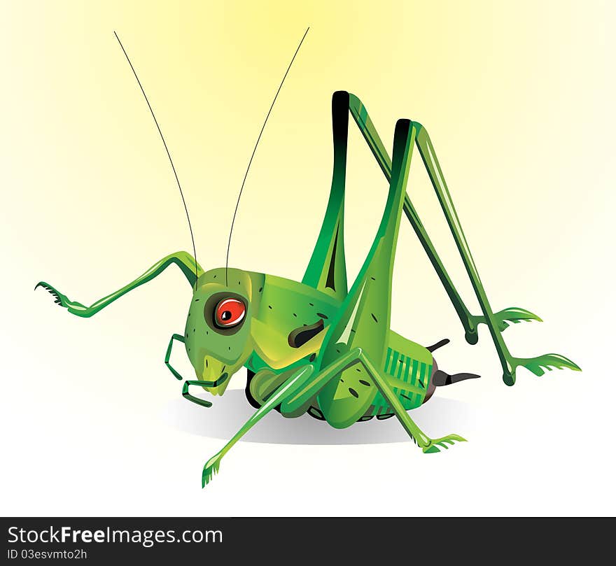 Grasshopper