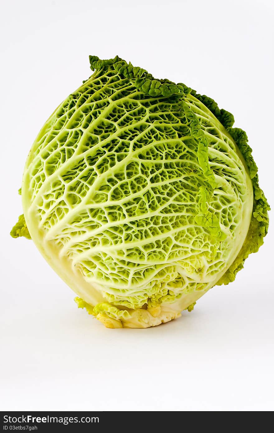 Green cabbage isolated white background